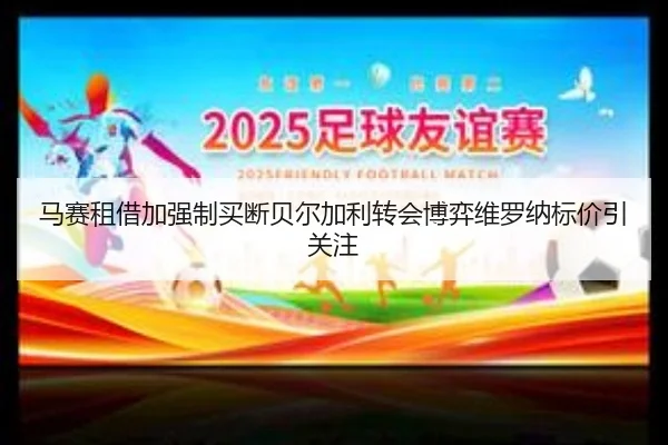 马赛租借加强制买断贝尔加利转会博弈维罗纳标价引关注（bet365app）